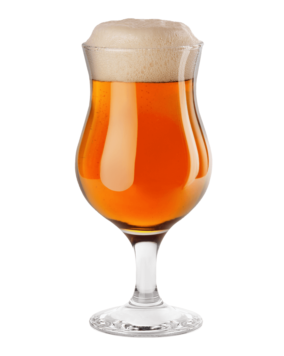 Mixed-Fermentation Sour Beer