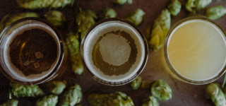 1087-PC Wyeast Bohemian Ale Blend | Fresh Hop Beer