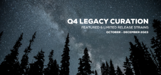 Q4 Legacy Curation | Featured & Limited Release Strains