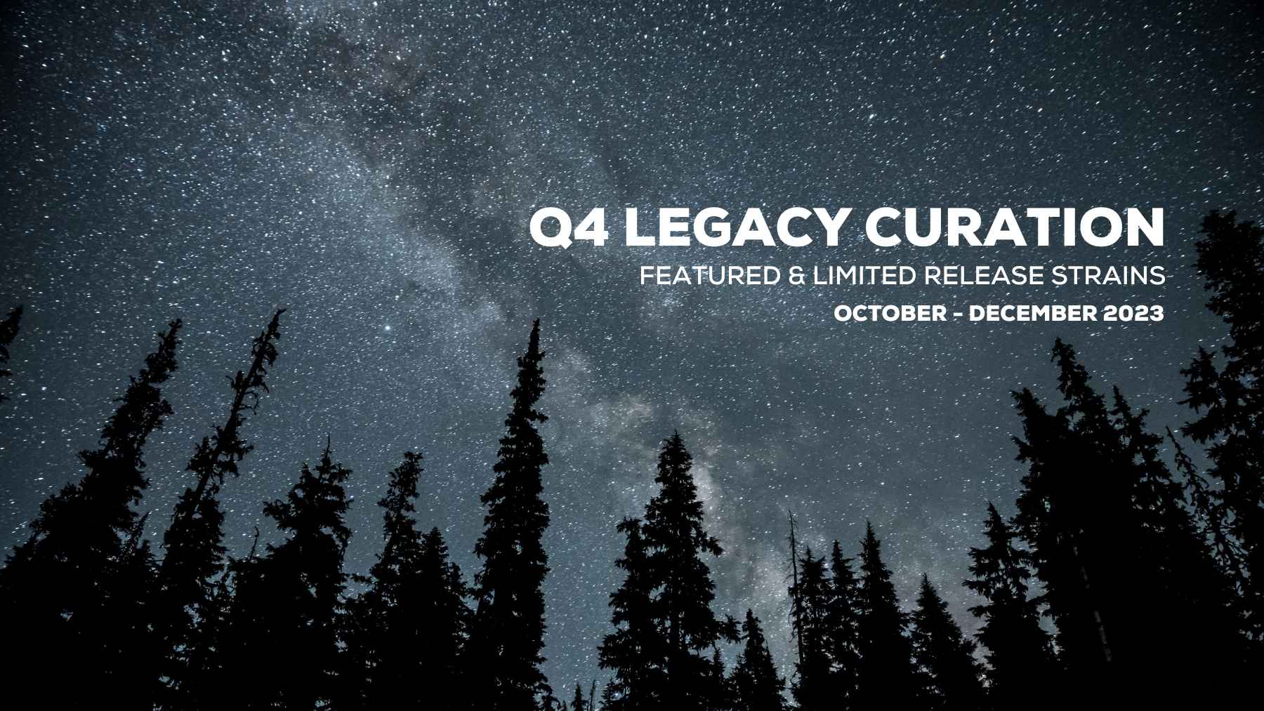 Q4 Legacy Curation | Featured & Limited Release Strains