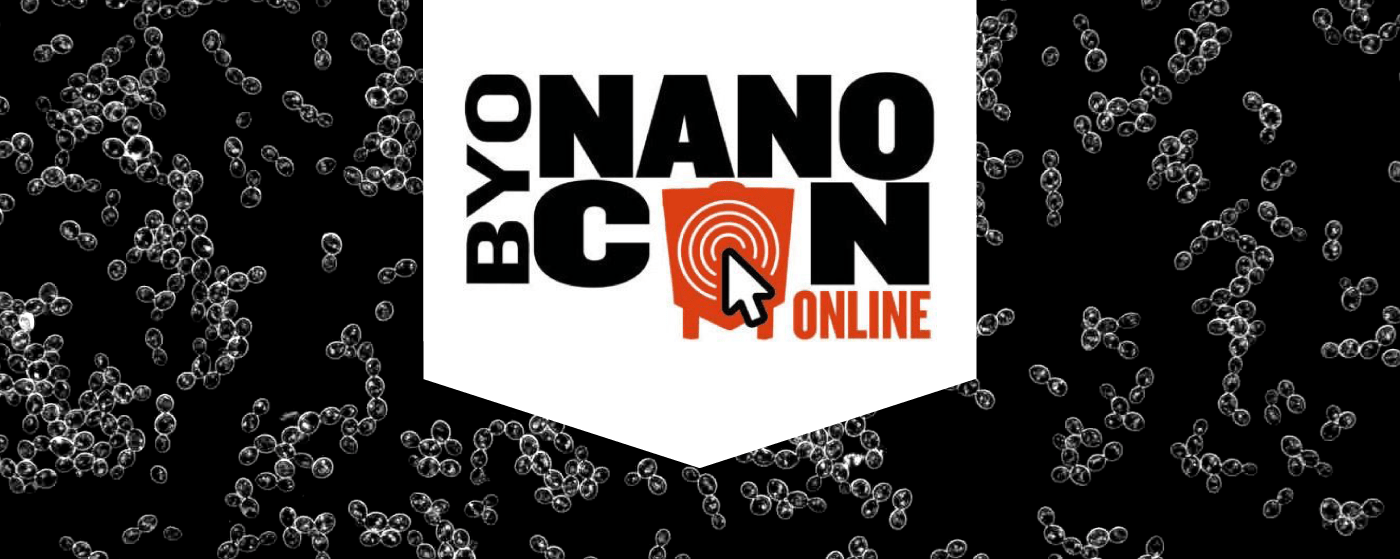 NanoCon returns Nov. 3-4
