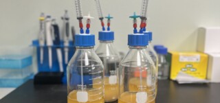 Managing Low Nitrogen Fermentations with Supporting Fermentation Products