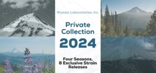 2024 Private Collection Release Calendar