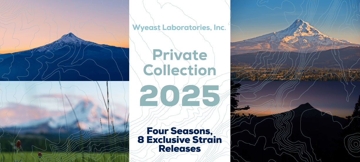 2025 Private Collection Preview