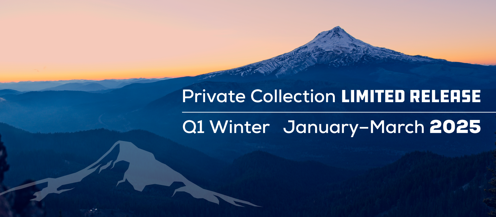 Q1 Winter Release