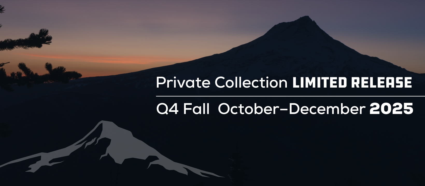 Q4 Fall Release