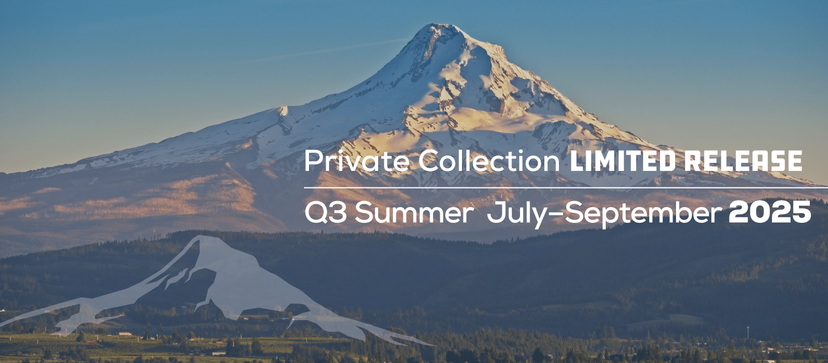 Q3 Summer Release