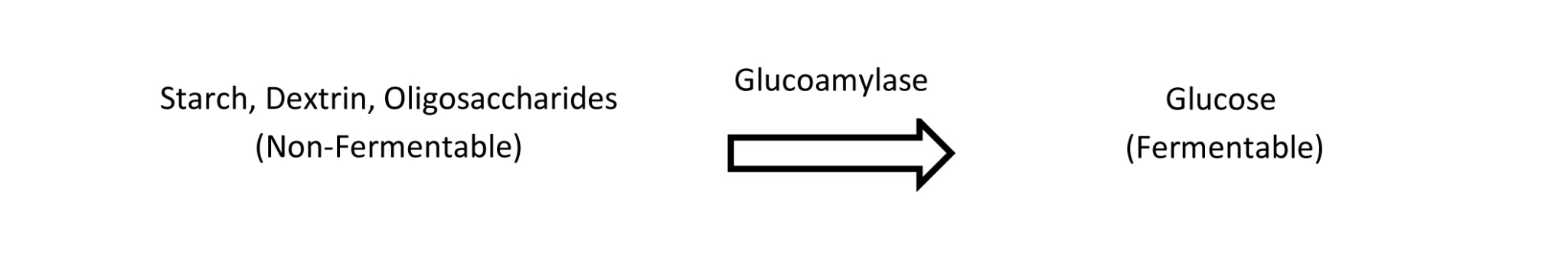 Sta1 Developments in Understanding Diastaticus - Wyeast Lab