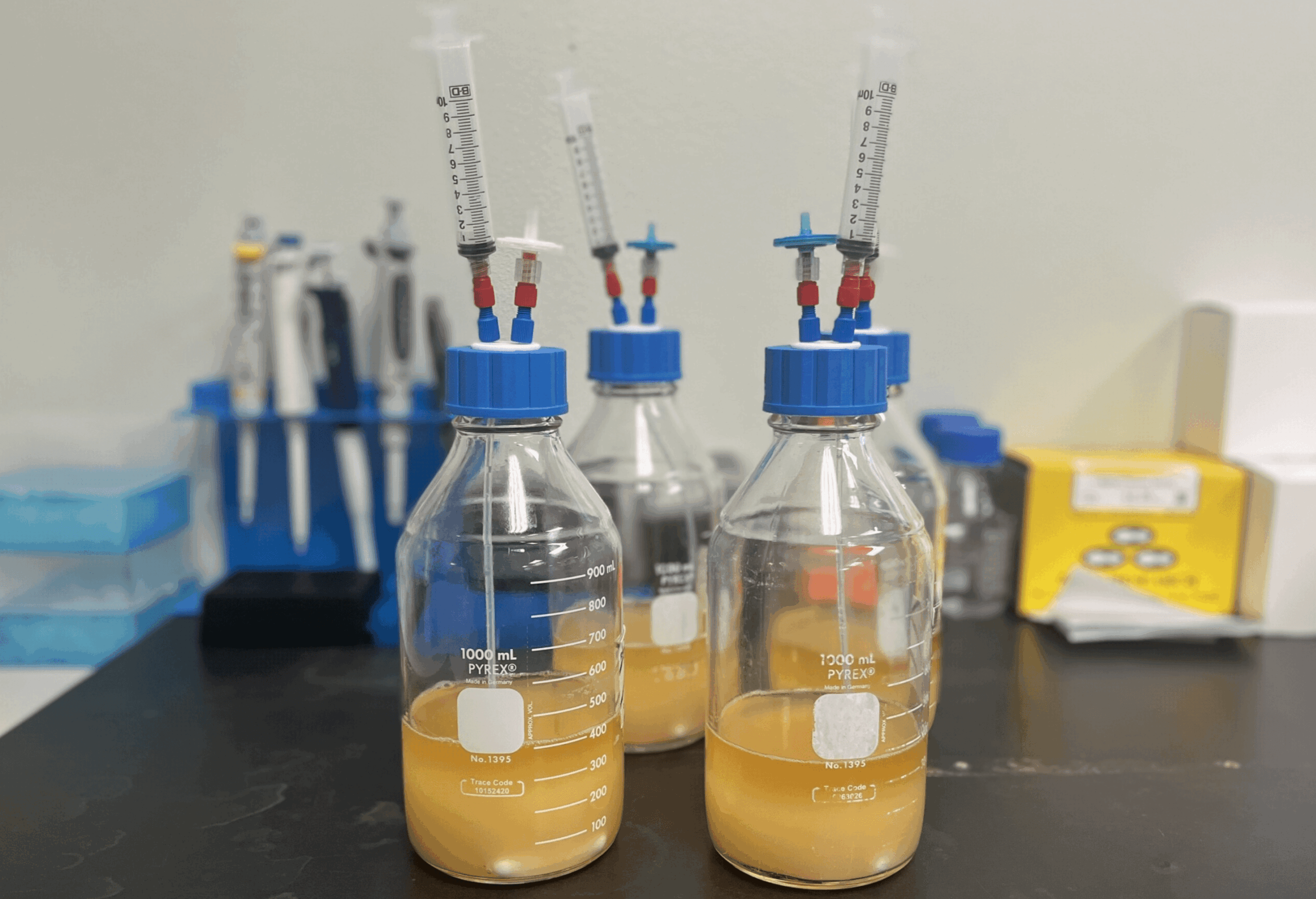 Managing Low Nitrogen Fermentations with Supporting Fermentation Products