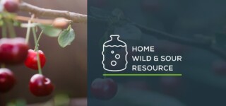 Wild & Sour Brewing