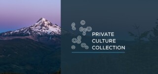 Q1 Legacy Curation | Featured & Limited Release Strains