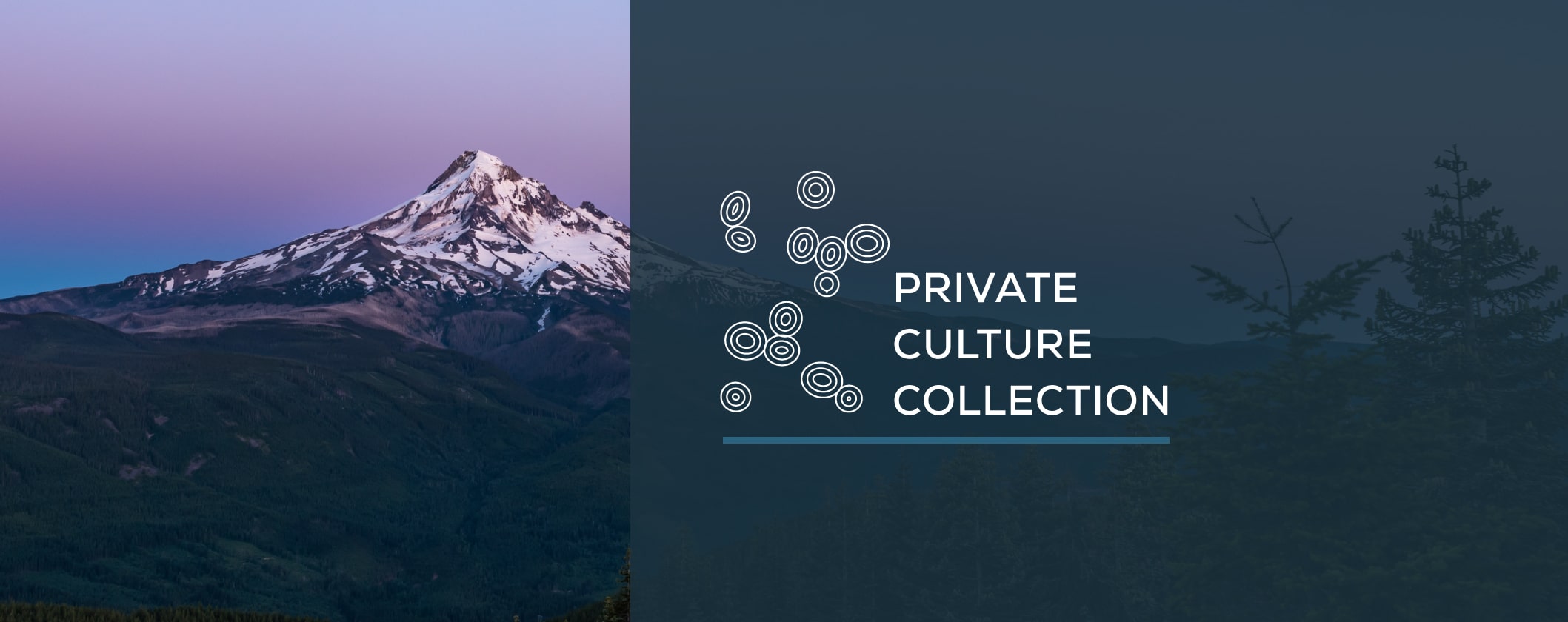Q4 PRIVATE COLLECTION: HARVEST CELLAR