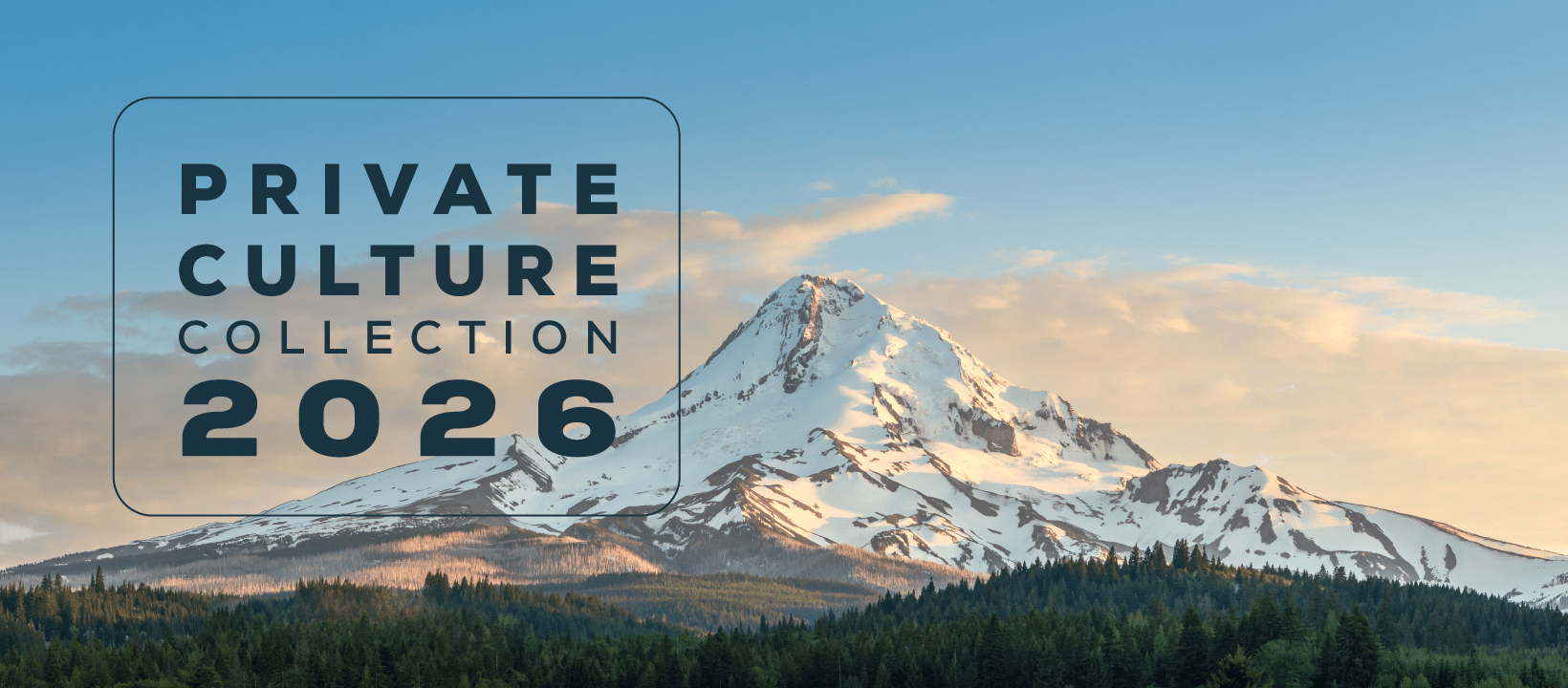 2026 Release Preview